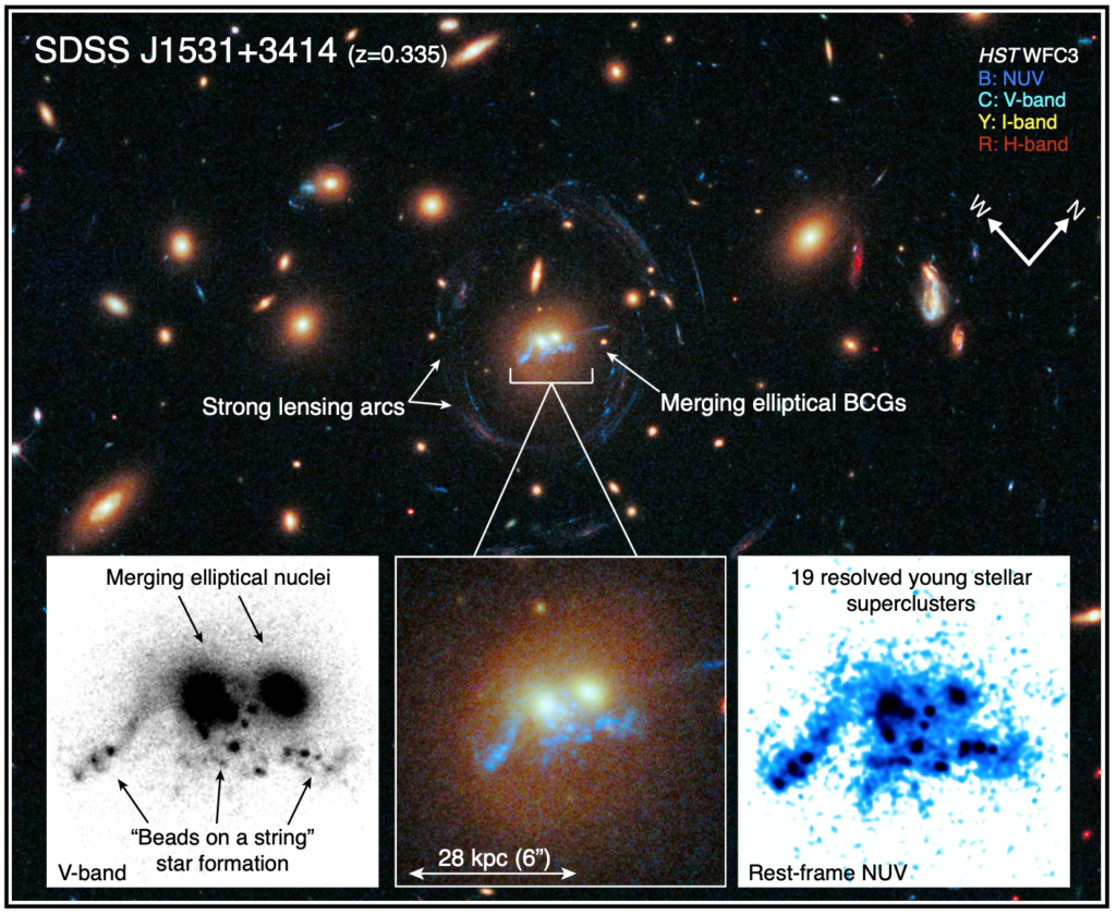 An image of a galaxy cluster surrounded by arcs created by gravitational lensing. In the center are two bright galaxies above a string of blue clumps of stars.